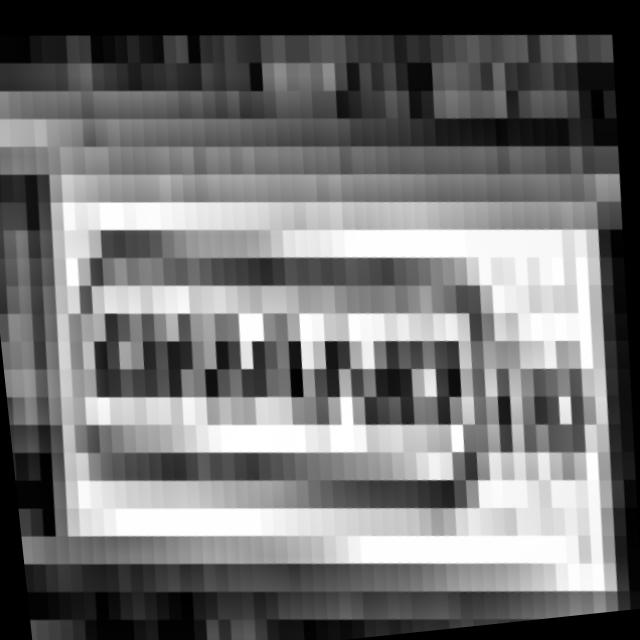 Dataset Image