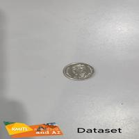 Dataset Image