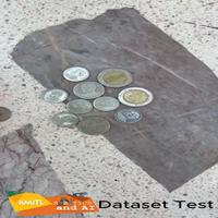 Dataset Image
