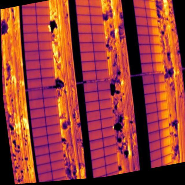 Dataset Image