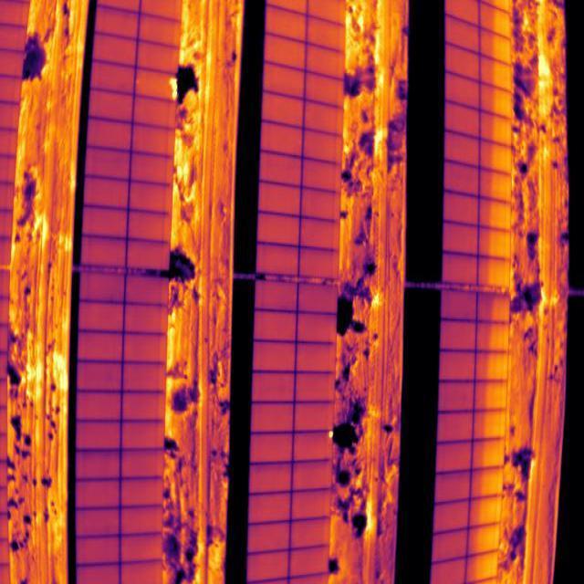 Dataset Image