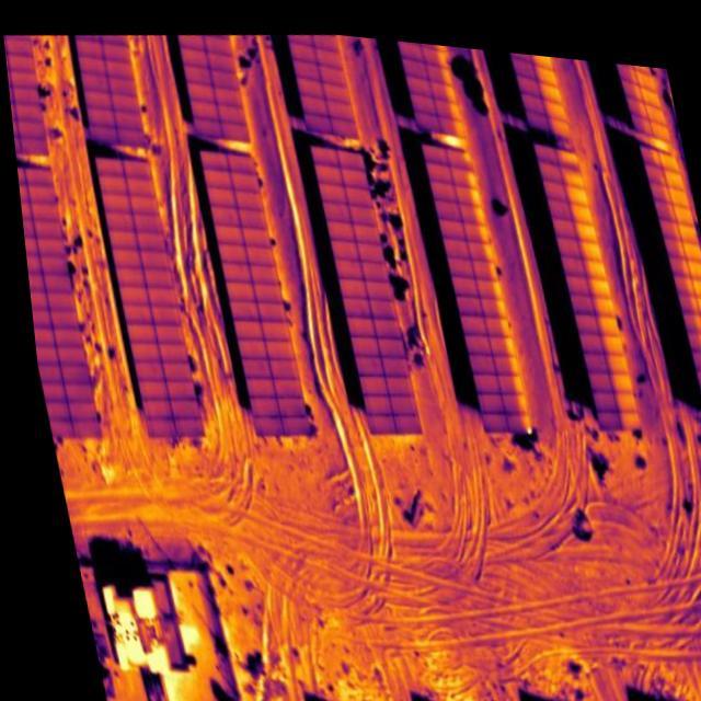 Dataset Image