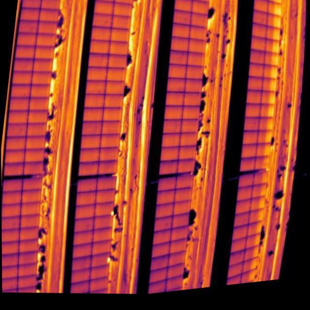 Dataset Image