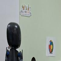 Dataset Image