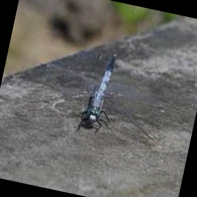 Insects Object Detection Model (v2, 2024-04-01 3:20pm) by tiger