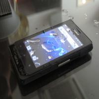 Dataset Image