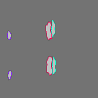 Annotation Visualization