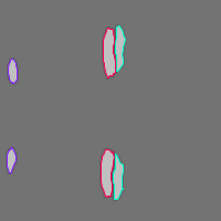 Annotation Visualization