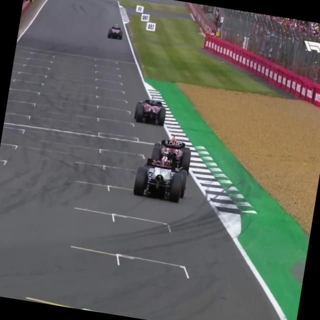 Dataset Image