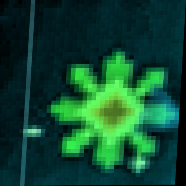 Dataset Image