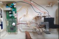 Dataset Image