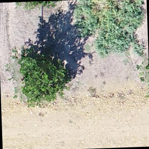 Dataset Image