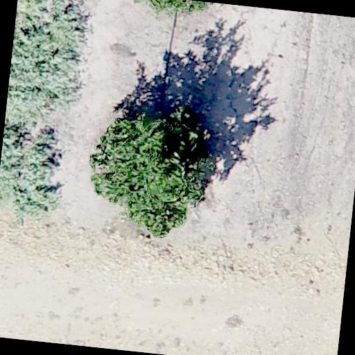 Dataset Image
