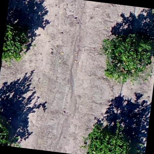 Dataset Image