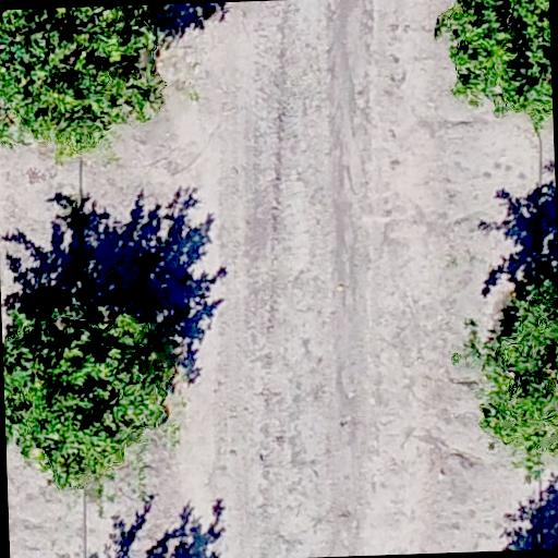 Dataset Image