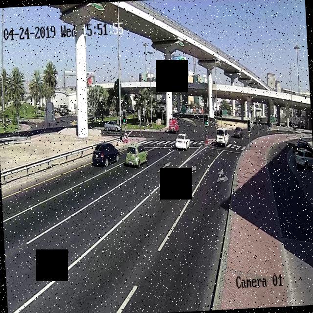 Dataset Image