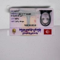 Dataset Image
