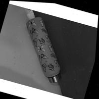 Dataset Image