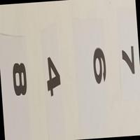 Dataset Image