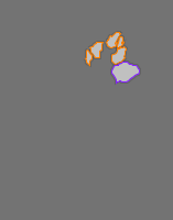 Annotation Visualization