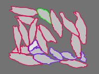 Annotation Visualization