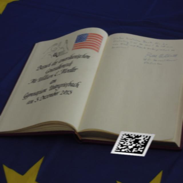 Dataset Image