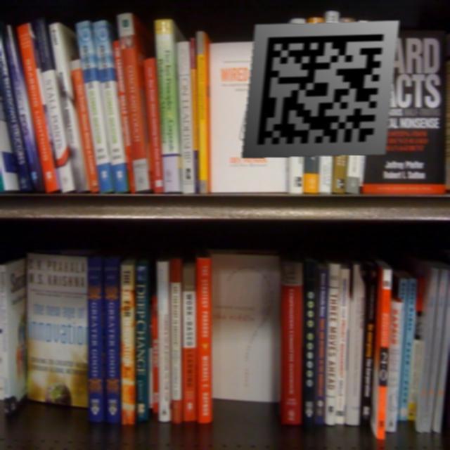 Dataset Image