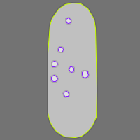 Annotation Visualization