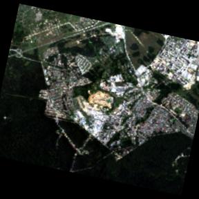 Dataset Image