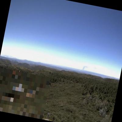 Dataset Image