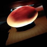 Dataset Image