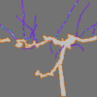 Annotation Visualization