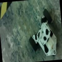 Dataset Image