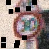 Dataset Image