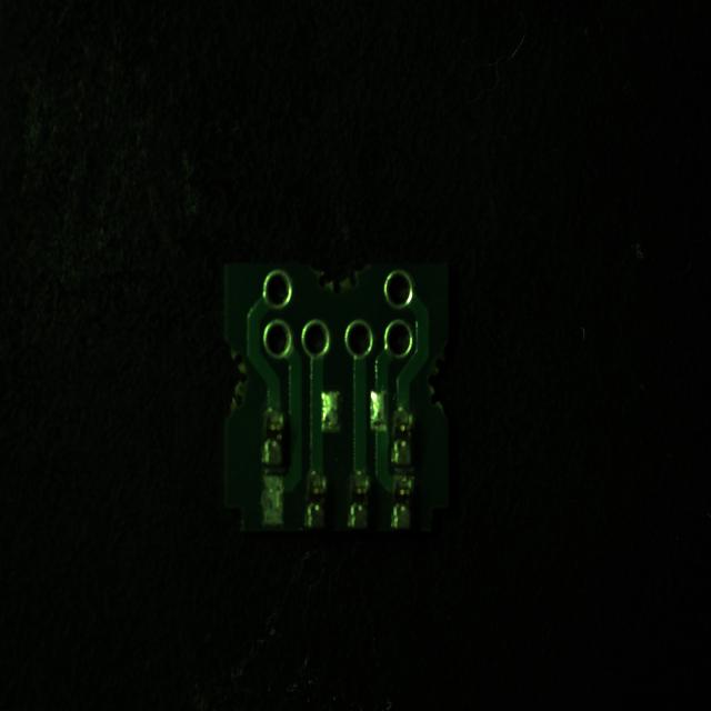 Dataset Image