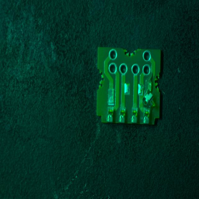 Dataset Image