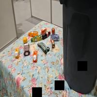 Dataset Image