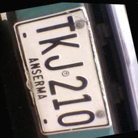 Dataset Image