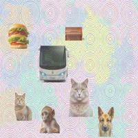 Dataset Image