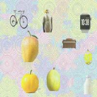 Dataset Image