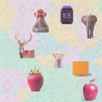 Dataset Image