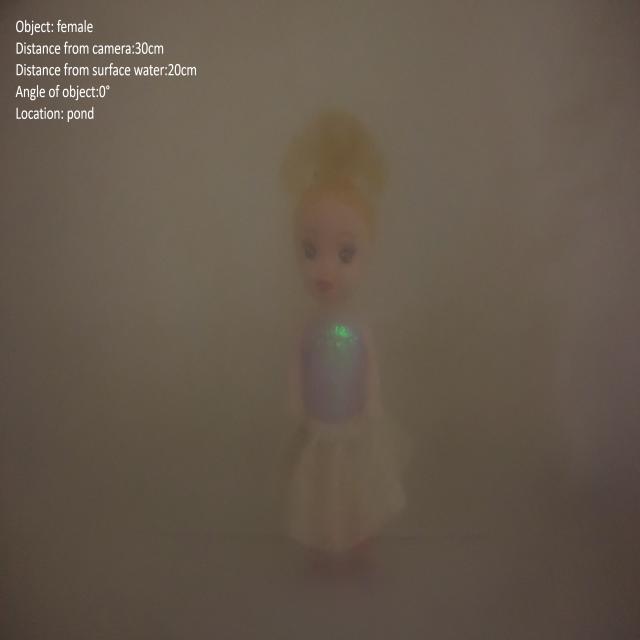 Dataset Image