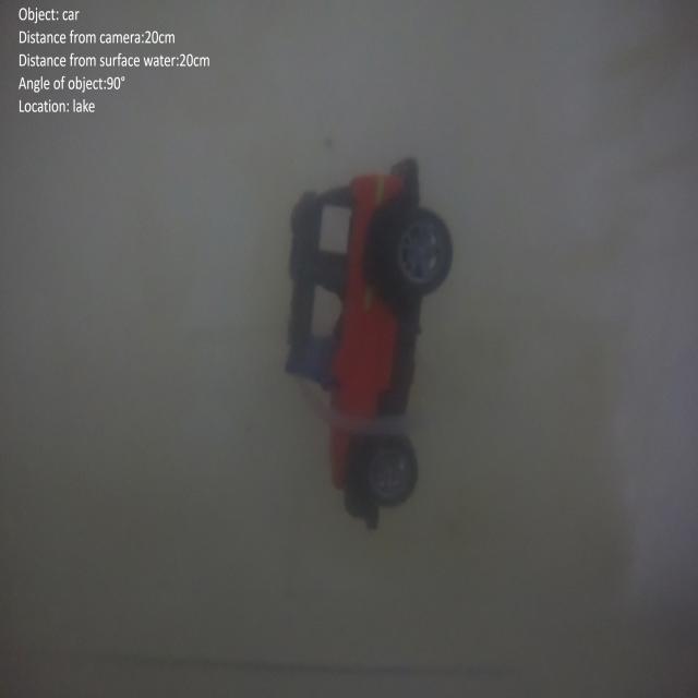Dataset Image