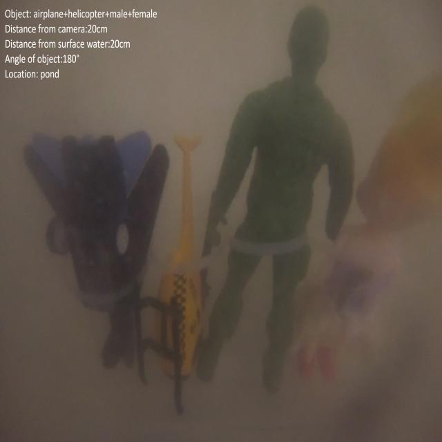 Dataset Image