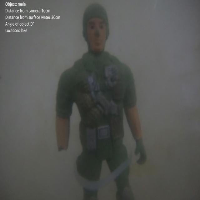 Dataset Image