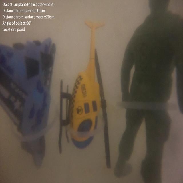 Dataset Image