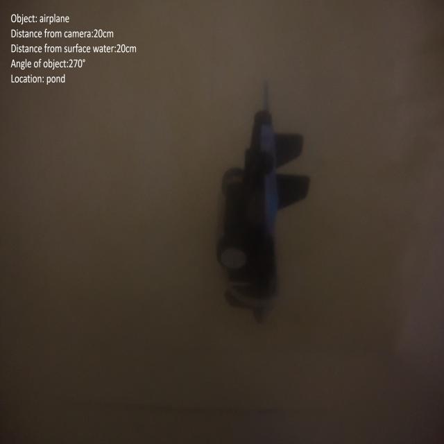 Dataset Image