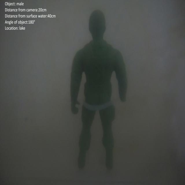 Dataset Image