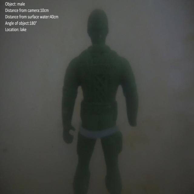 Dataset Image