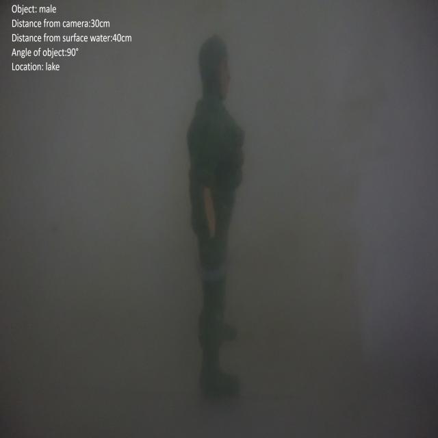 Dataset Image